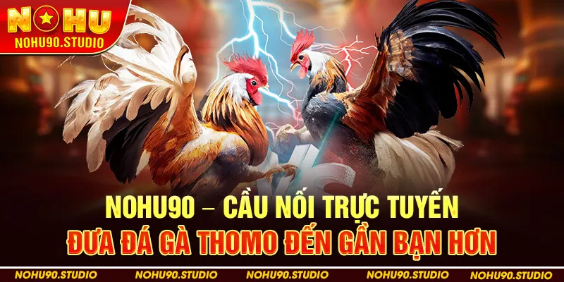 Nohu90 – Cầu Nối Trực Tuyến Đưa Đá Gà Thomo Đến Gần Bạn Hơn